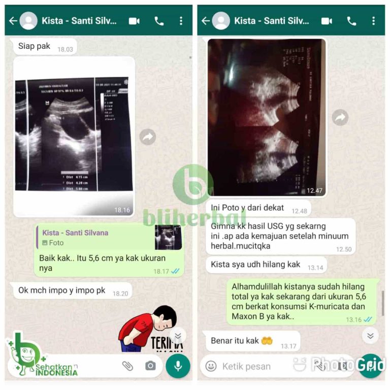 WhatsApp-Image-2022-06-27-at-13.45.11.jpeg